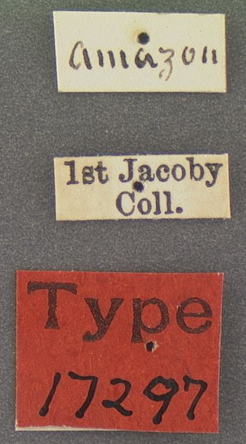 Media type: image;   Entomology 17297 Aspect: labels